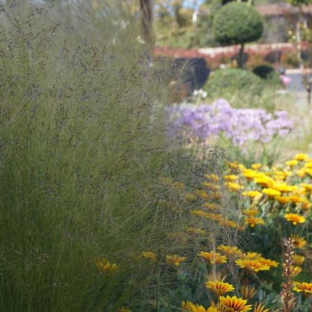 Les Jardins De Santa Giulia - Charmante Chambre D'Hote Porto-Vecchio  Exteriér fotografie